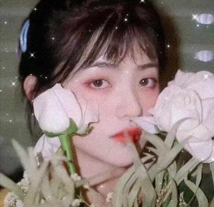 长月烬明
